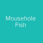 mousehole-fish-logo